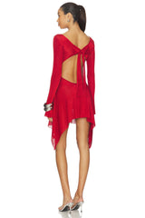 x REVOLVE Rose Dress