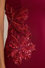 Aylana | Burgundy Bandeau Maxi Dress With Embellishment Detail
