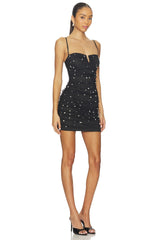 Stella Mesh Mini Dress