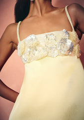 Lark Embroidered Dress