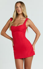 Aretha Mini Dress - Panel Dress in Red
