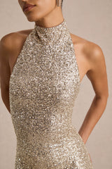 Tulia | Champagne Sequin High-Neck Maxi Dress