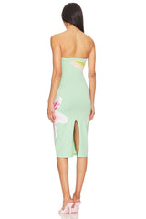 Luna Moth Dress