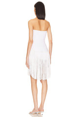 x REVOLVE Fringe Dress