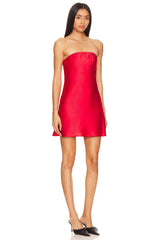 Taylor Tube Mini Dress
