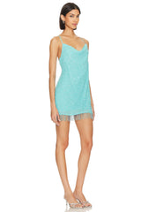 Suzanna Mini Dress