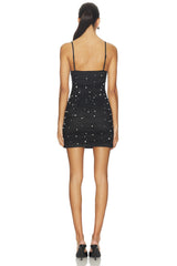 Stella Mesh Mini Dress